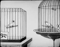 داستانهای ساده (فصل1-قسمت26)